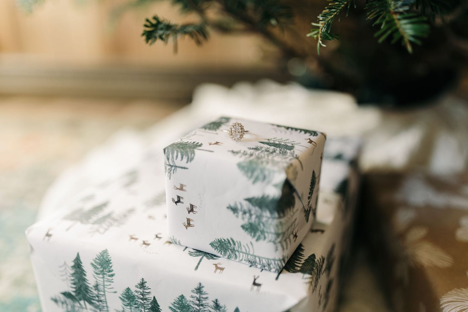 Gift wrapped in pine tree patterned paper under a Christmas tree branch.