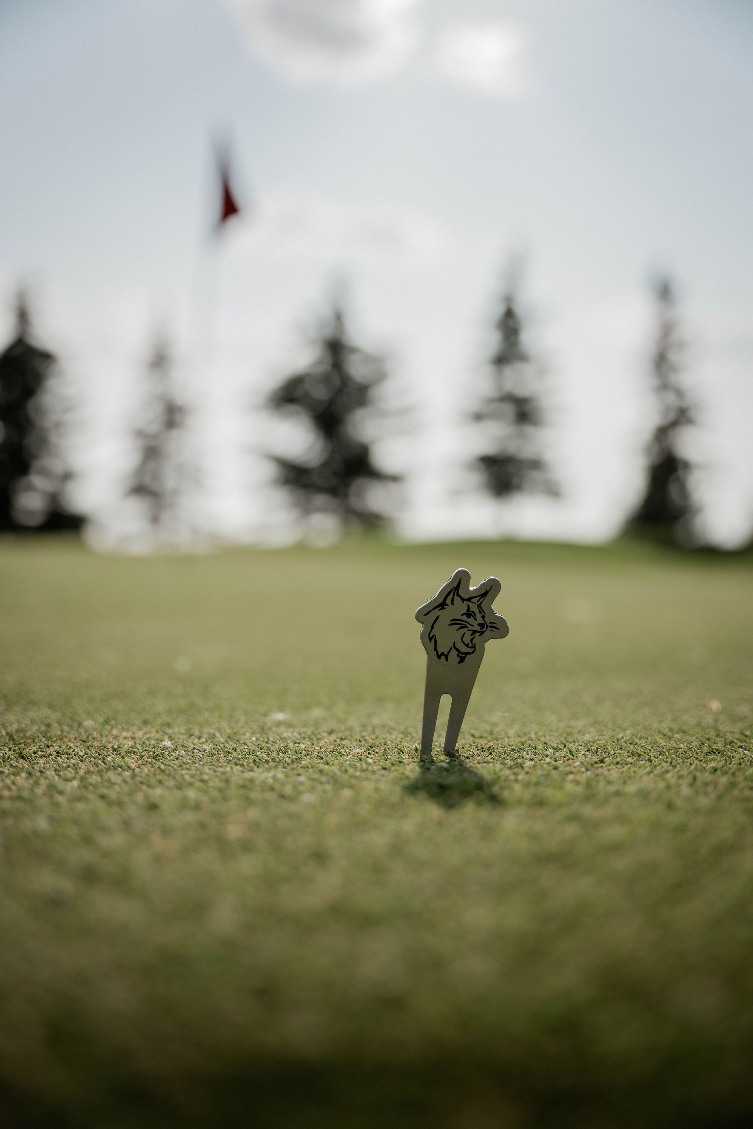 Golf, Calgary, Commercial photography