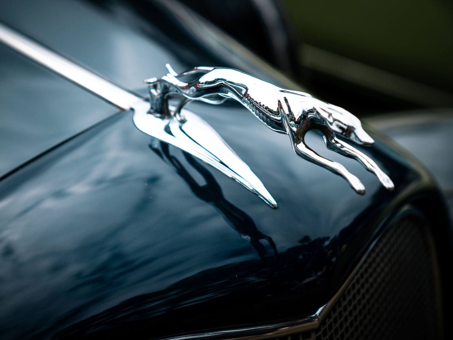 Car, Car show, Calgary, Commercial photography