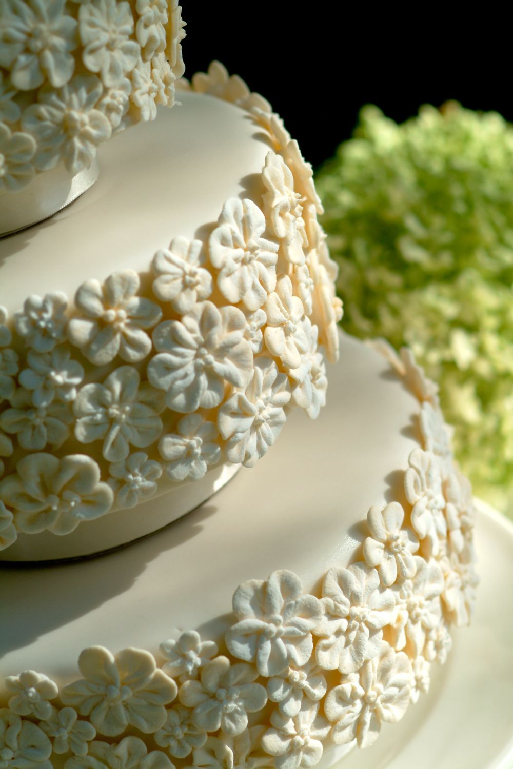 An elegant white wedding cake decorated with delicate floral details against a dark background.