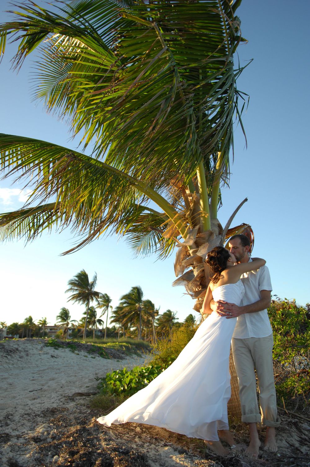 A couple embraces on a tropical beach with swaying palm trees and golden sunlight.