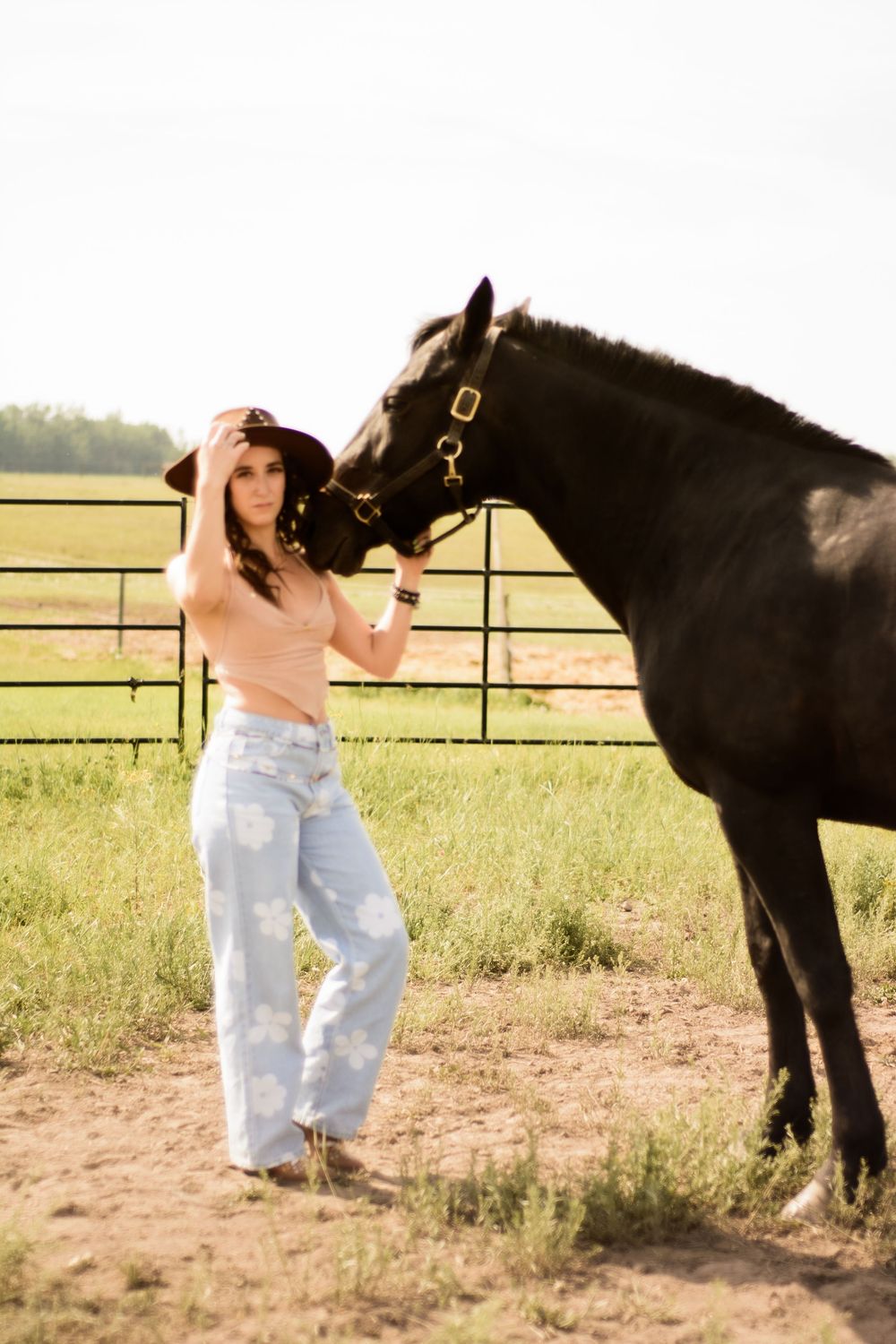 A person in a casual outfit pets a black horse standing by a fence at sunset.