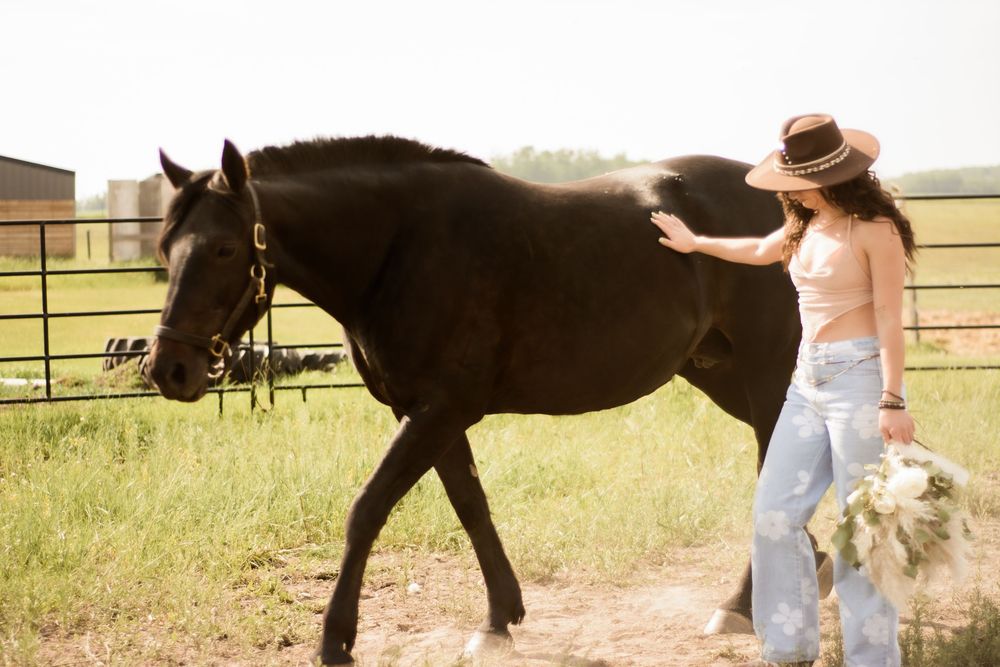 A black horse walks alongside someone carrying dried flowers on a dirt path near a fence.
