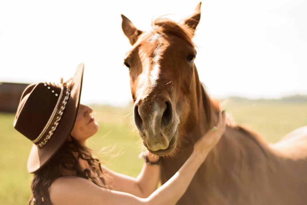 A series of tender moments between a horse and rider at sunset in a pastoral field setting.
