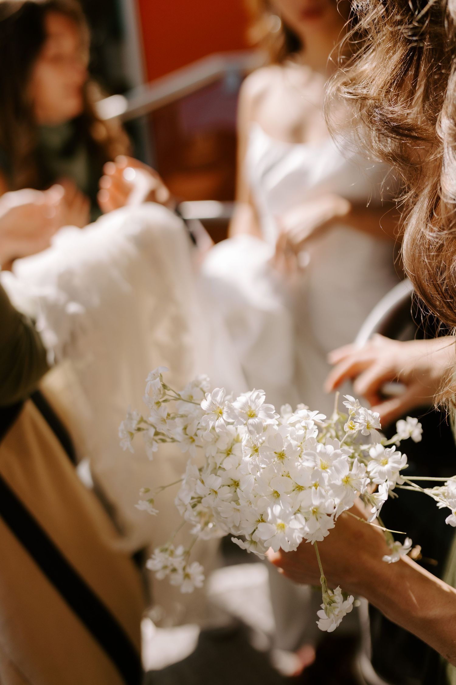 Delicate white orchids being held against soft white fabric in warm lighting.