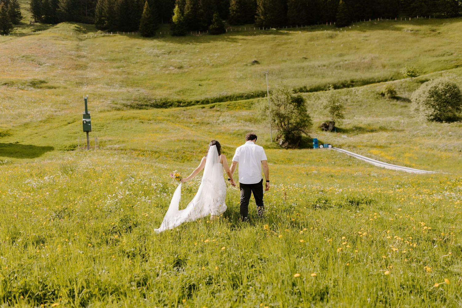 A couple walks through a wildflower meadow with mountains and forest in the background.