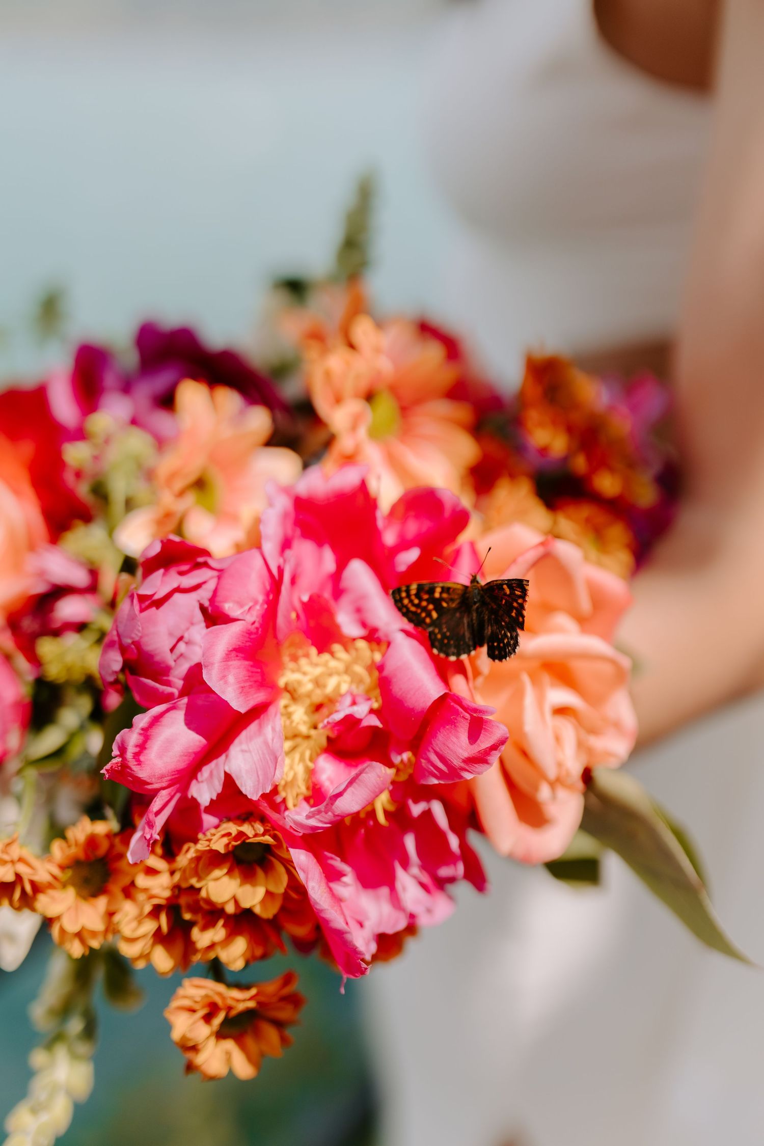 Close-up of a stunning bridal bouquet featuring pink and peach blooms with a butterfly resting on the petals.