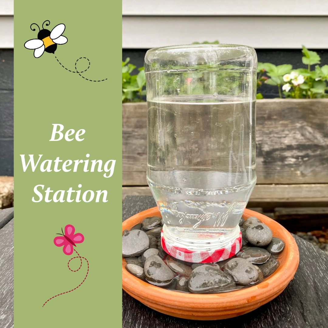A simple DIY bee watering station made with a terra cotta planter saucer and clear glass bowl filled with water and stones.