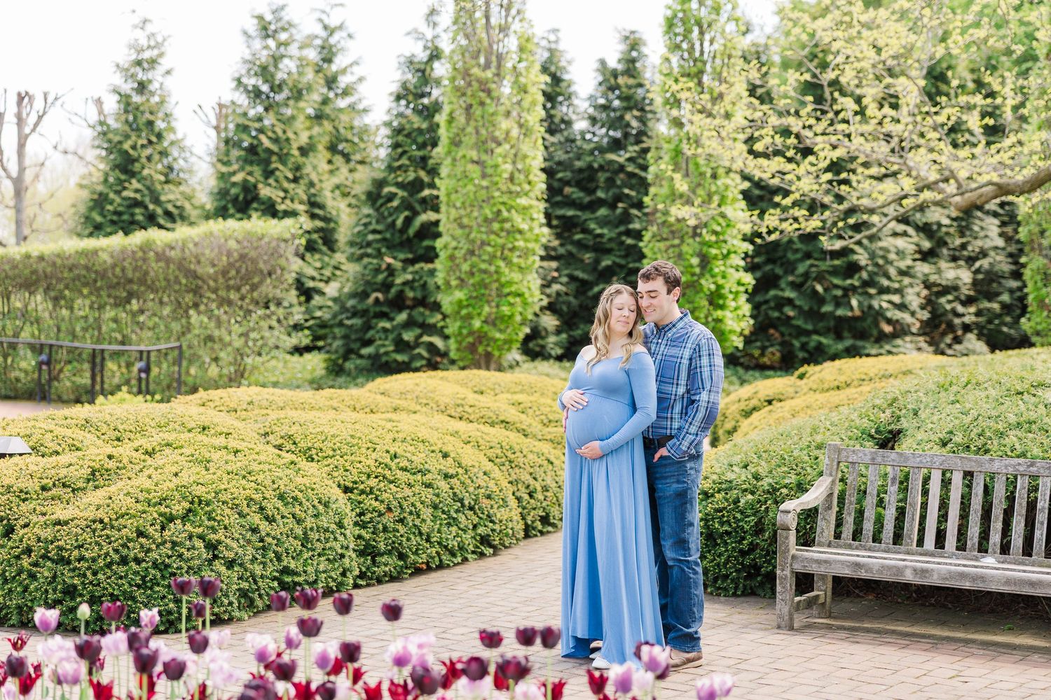 A couple in blue attire embrace in a garden with tulips blooming and evergreen trees in the background at Chicago Botanic Garden