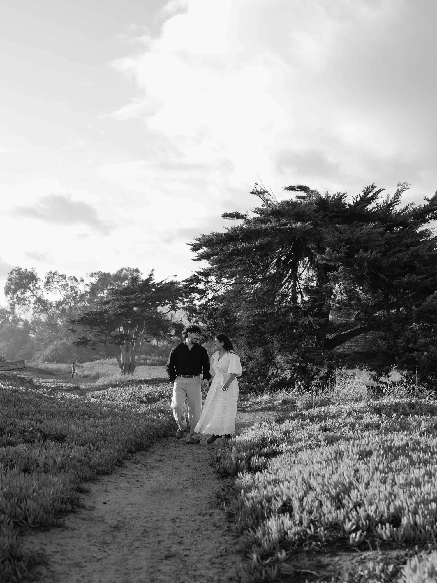 A couple walks along a scenic pathway beneath a large cypress tree in a tranquil black and white landscape.
