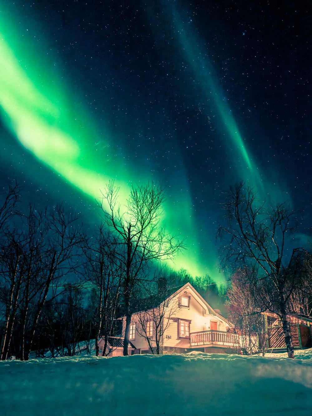 A cozy cabin glows under vibrant green northern lights with silhouetted trees against the dark winter night sky.