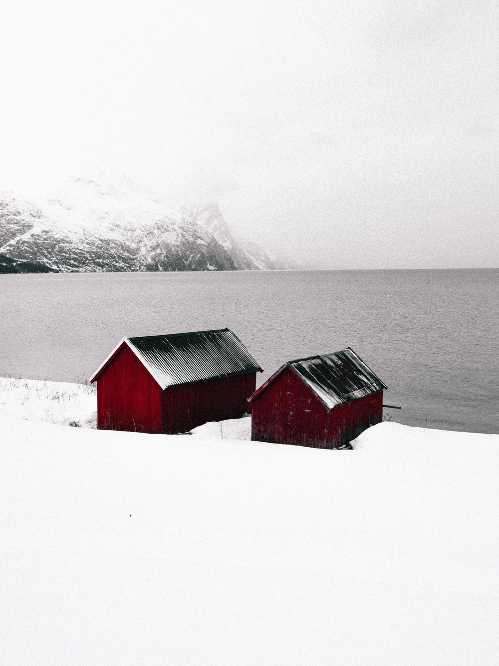 Two red wooden cabins on a snowy shore with misty mountains and fjord in the background against a gray winter sky.