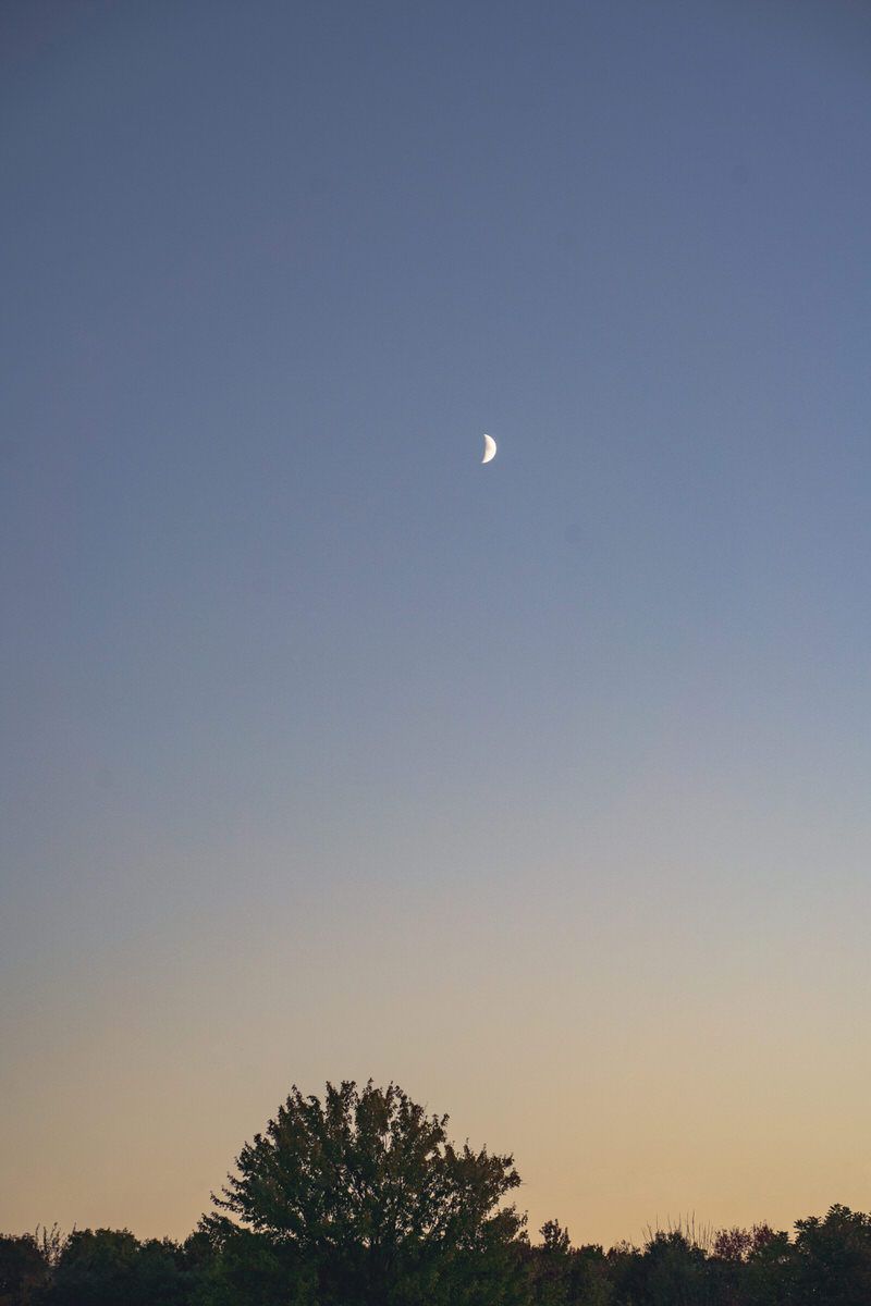 An evening sky fading from dusky blue to a soft peach with a waxing quarter moon visible near the center.