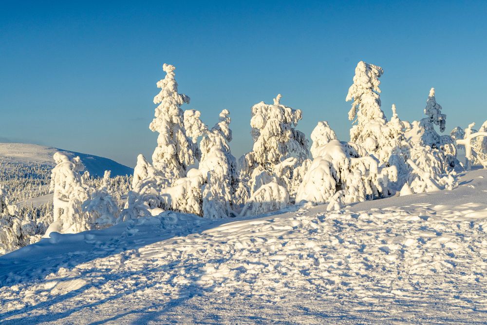 yrityskuvaus, luosto, yrityskuvaus oulussa