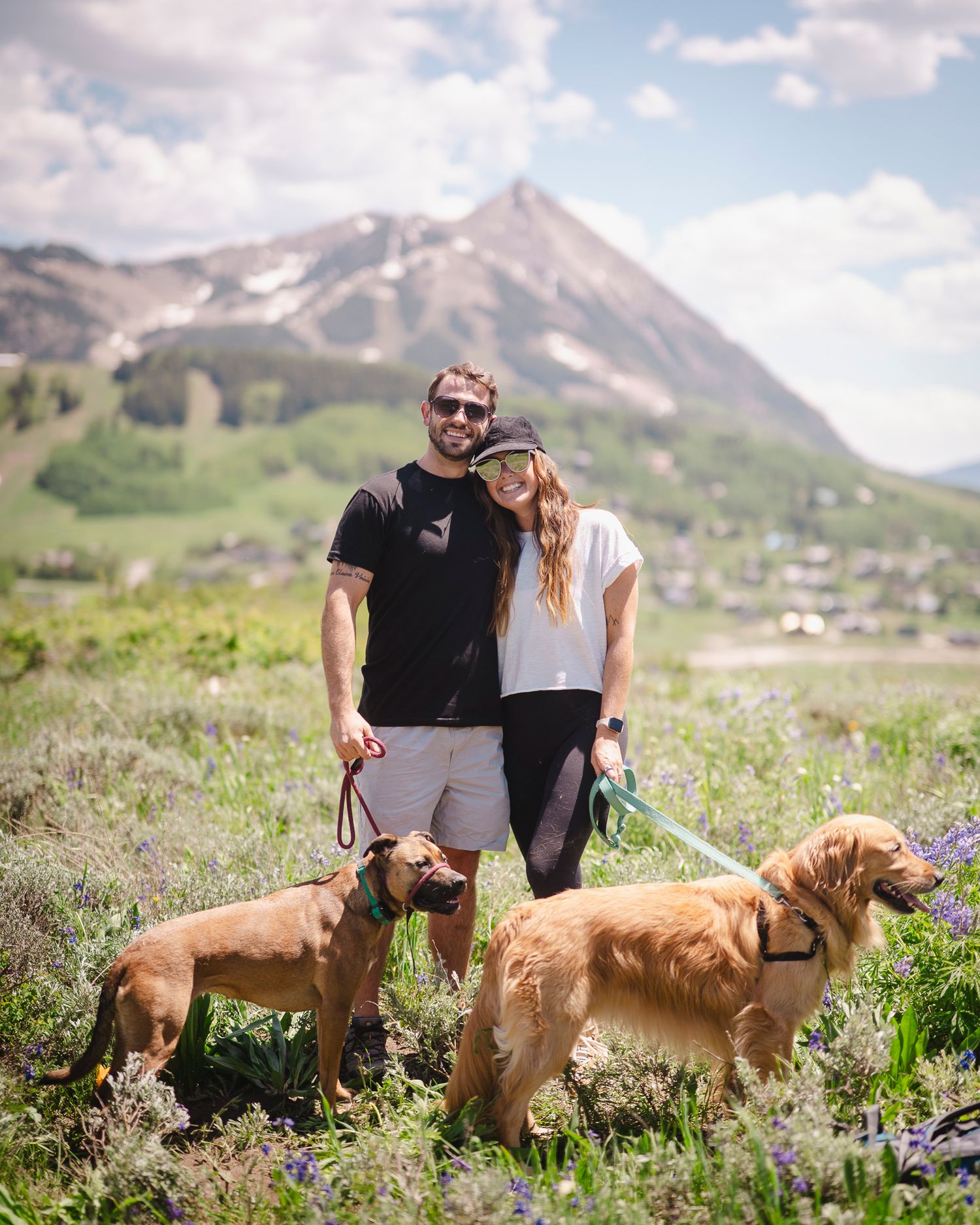 Couple with three golden retrievers posing in mountain wildflower meadow.