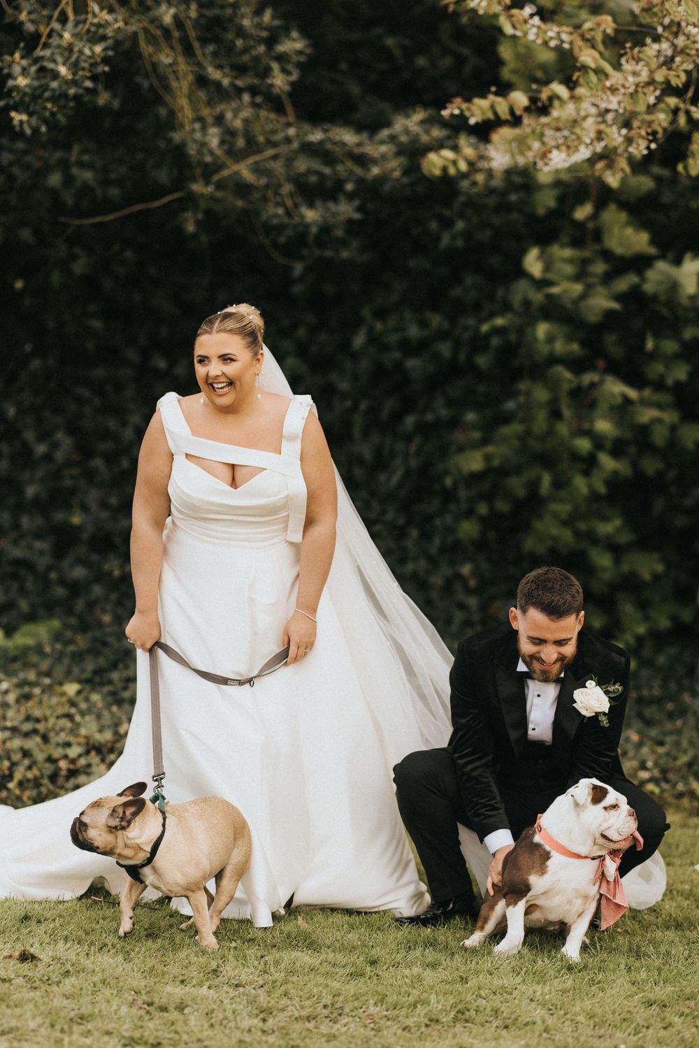 A couple sits on grass with three dogs wearing white bow ties during a wedding photo session.