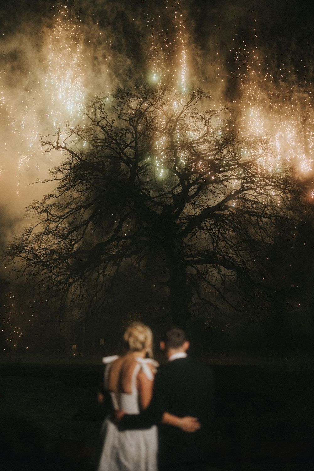 Couple standing beneath a majestic tree silhouette with ethereal fireworks glowing in the night sky above.