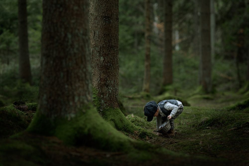 Pojke klädd i gammaldags kläder som upptäcker i skogen.
