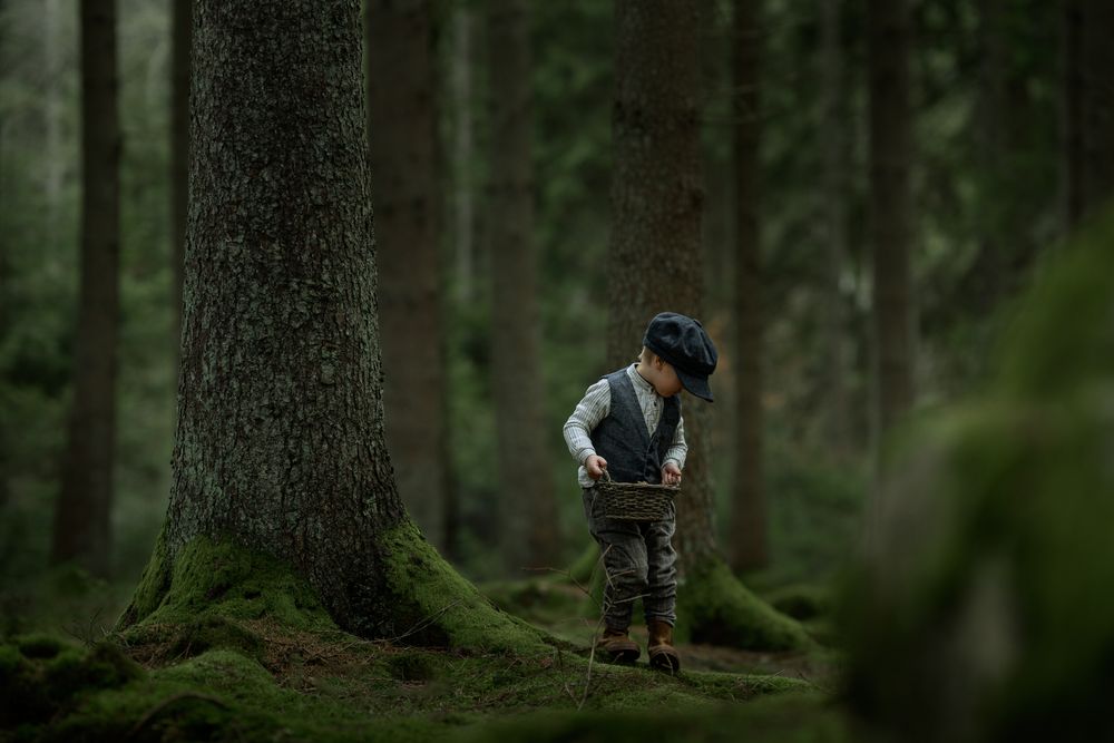 Pojke klädd i gammaldags kläder som upptäcker i skogen. Han samlar kottar i en gammal korg.
