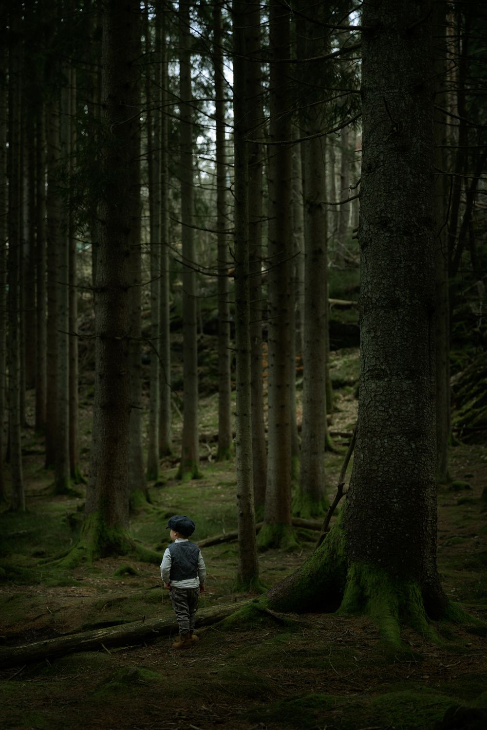 Pojke klädd i gammaldags kläder som upptäcker i skogen.