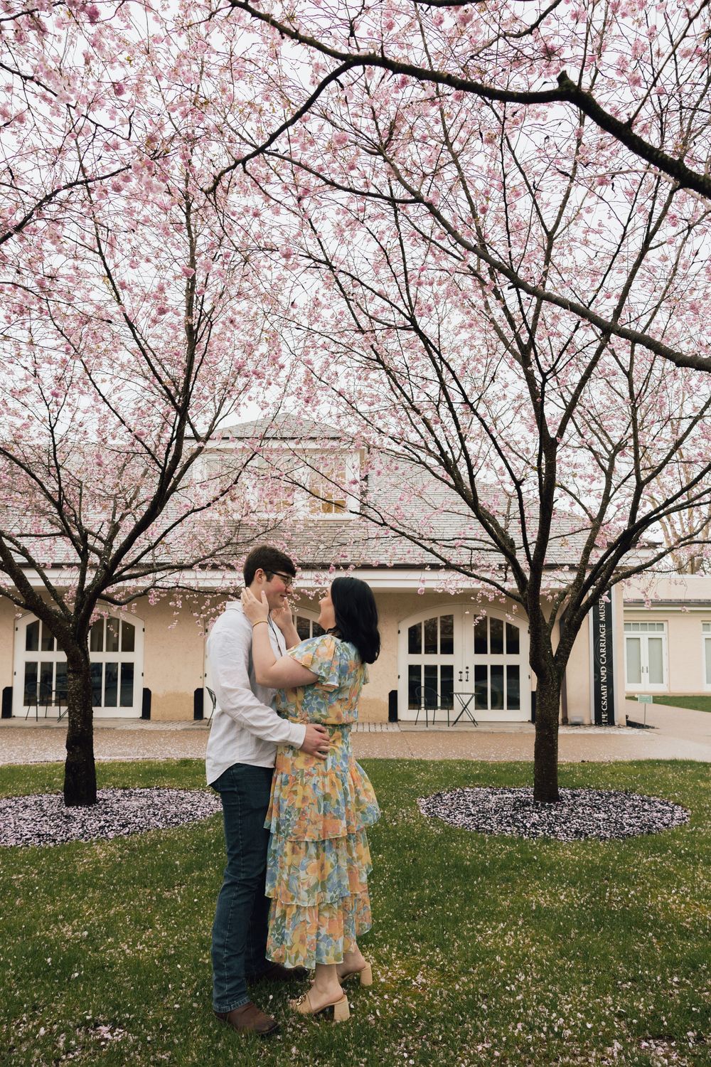A romantic springtime moment beneath blooming cherry blossom trees with pink petals scattered on the ground.