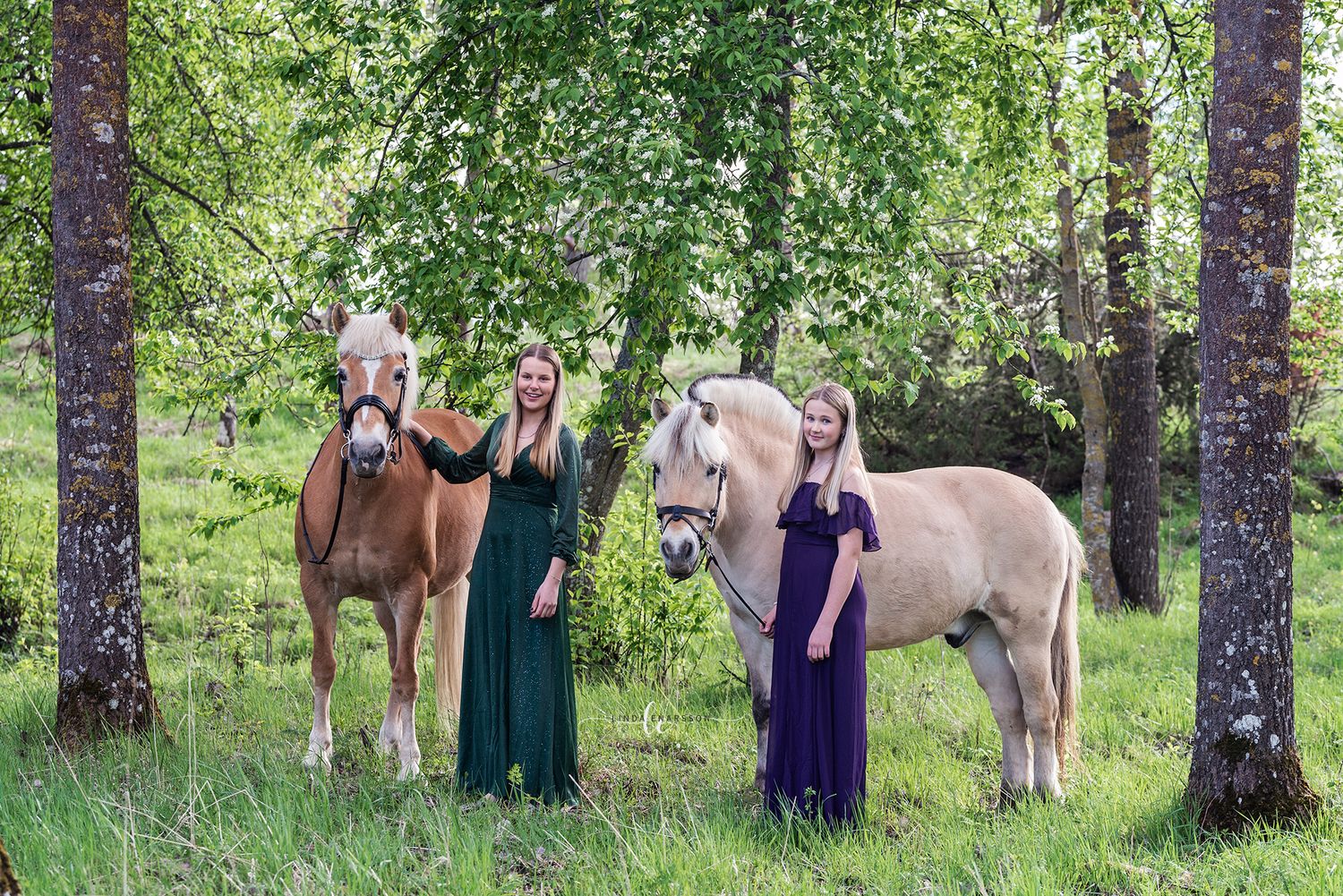 horses, dresses