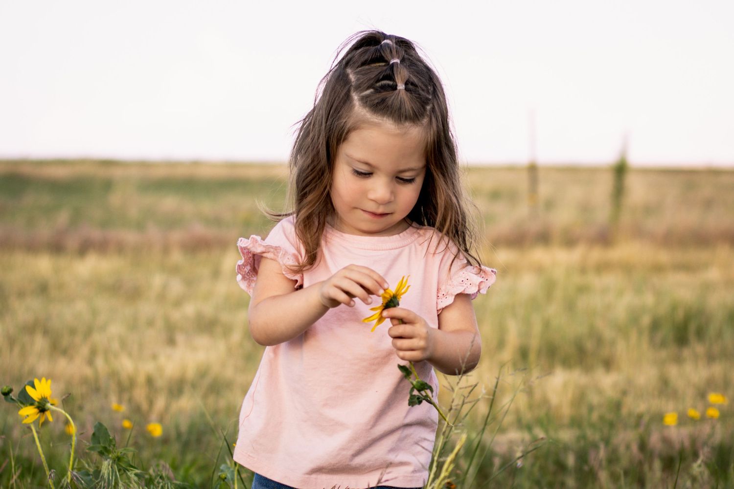 Child Milestones, Rachel Collins Photography, LLC