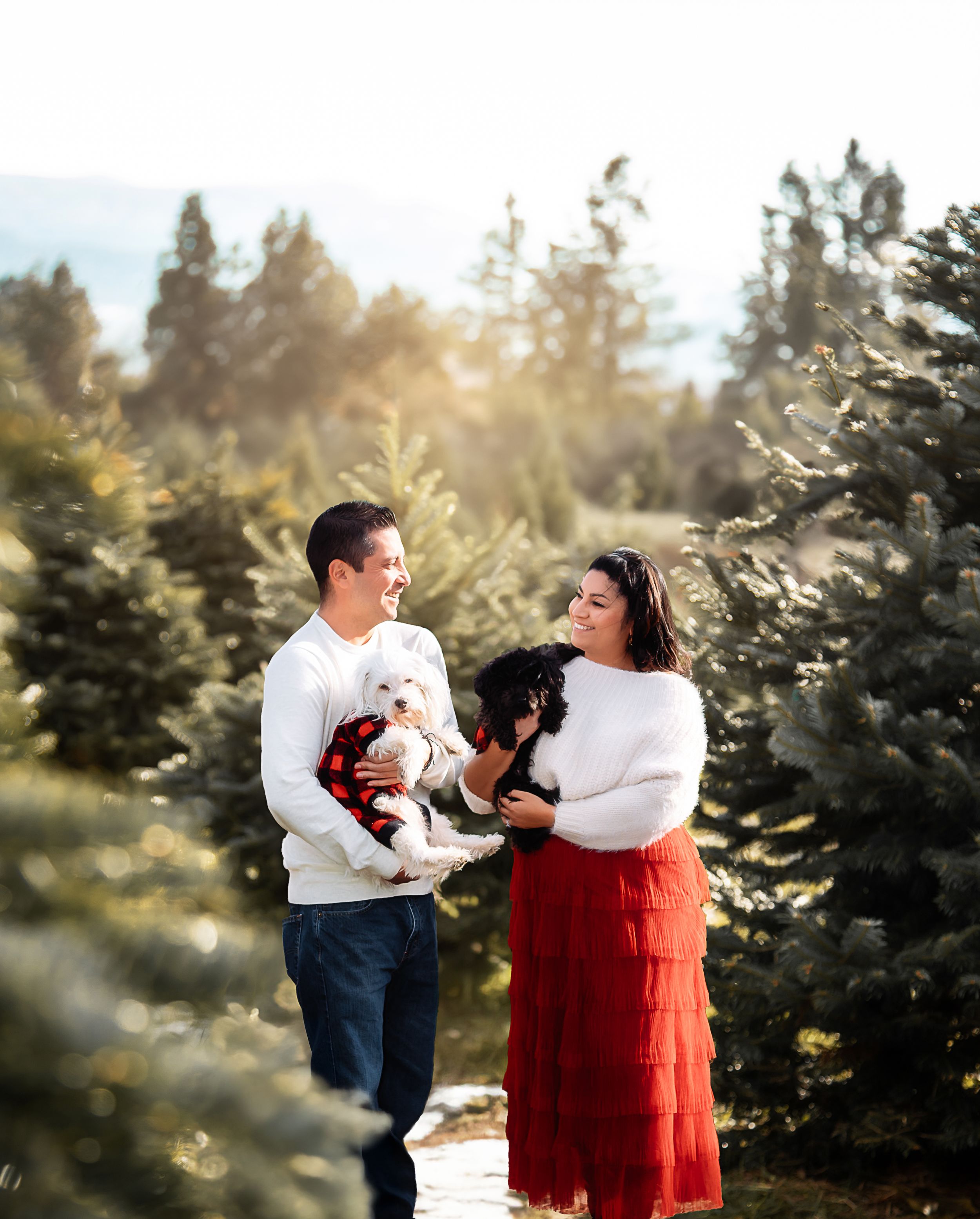 Couple holding their small dogs while posing together among evergreen trees on a bright sunny day.