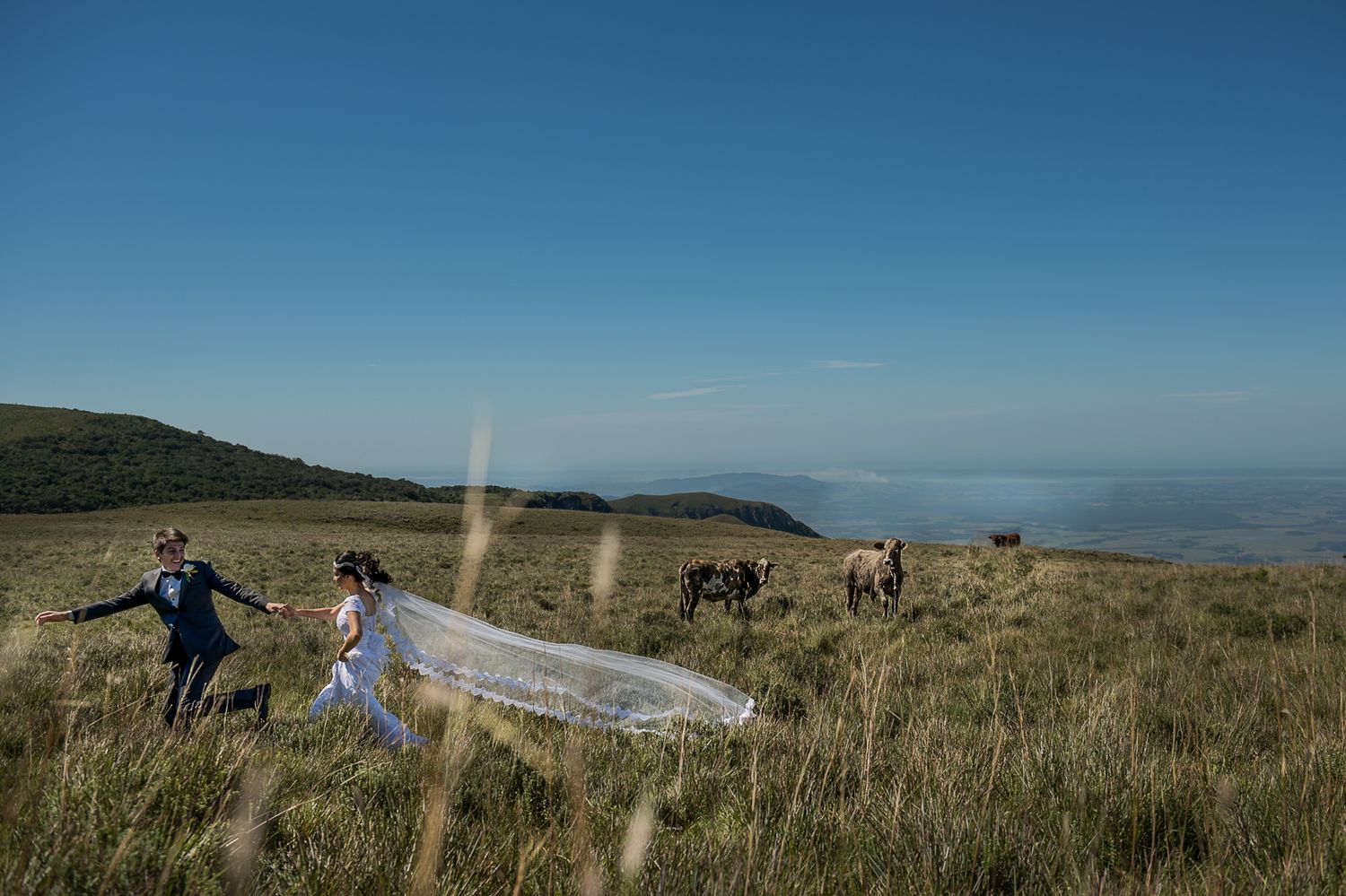 Wedding party on a grassy hilltop with a flowing veil catching the wind against a blue sky landscape.