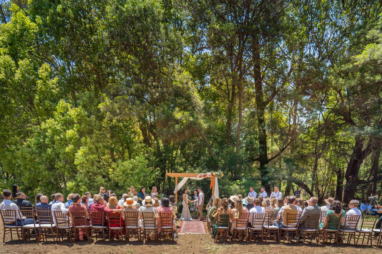 Outdoor wedding ceremony setup with wooden chairs arranged in rows among tall trees in a wooded setting.