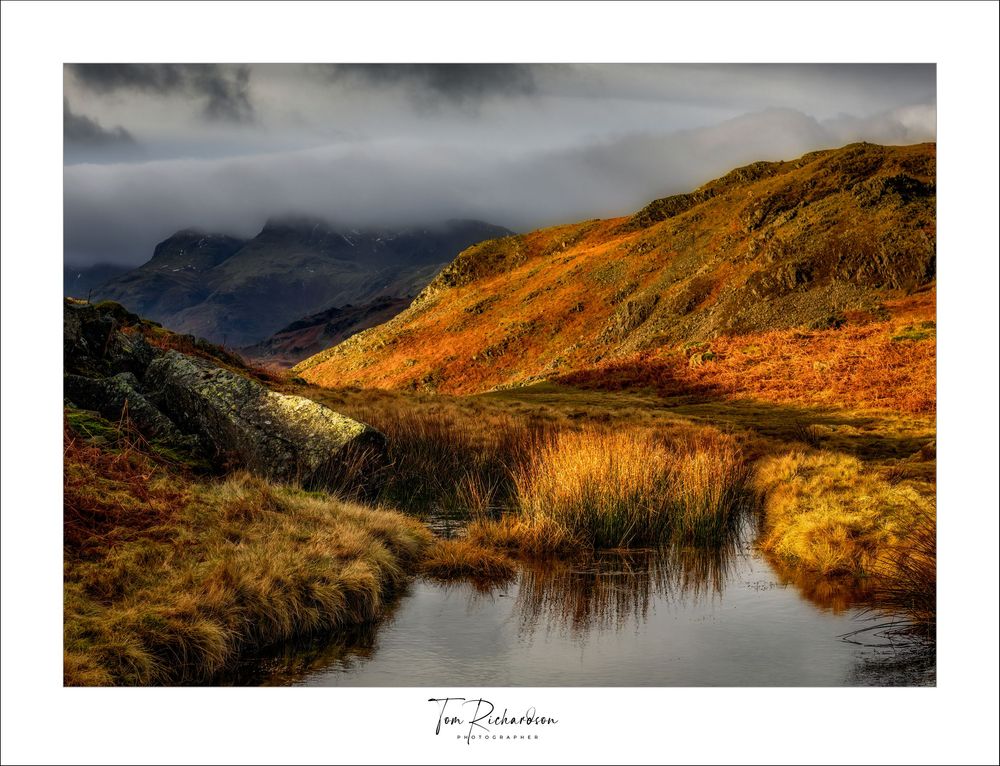 Reedy tarn on Loughrigg