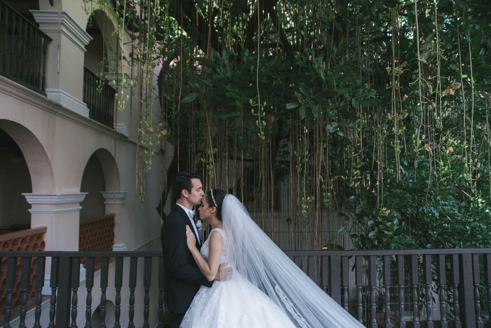 Casa de Palmas. McAllen, Texas. Photo session
