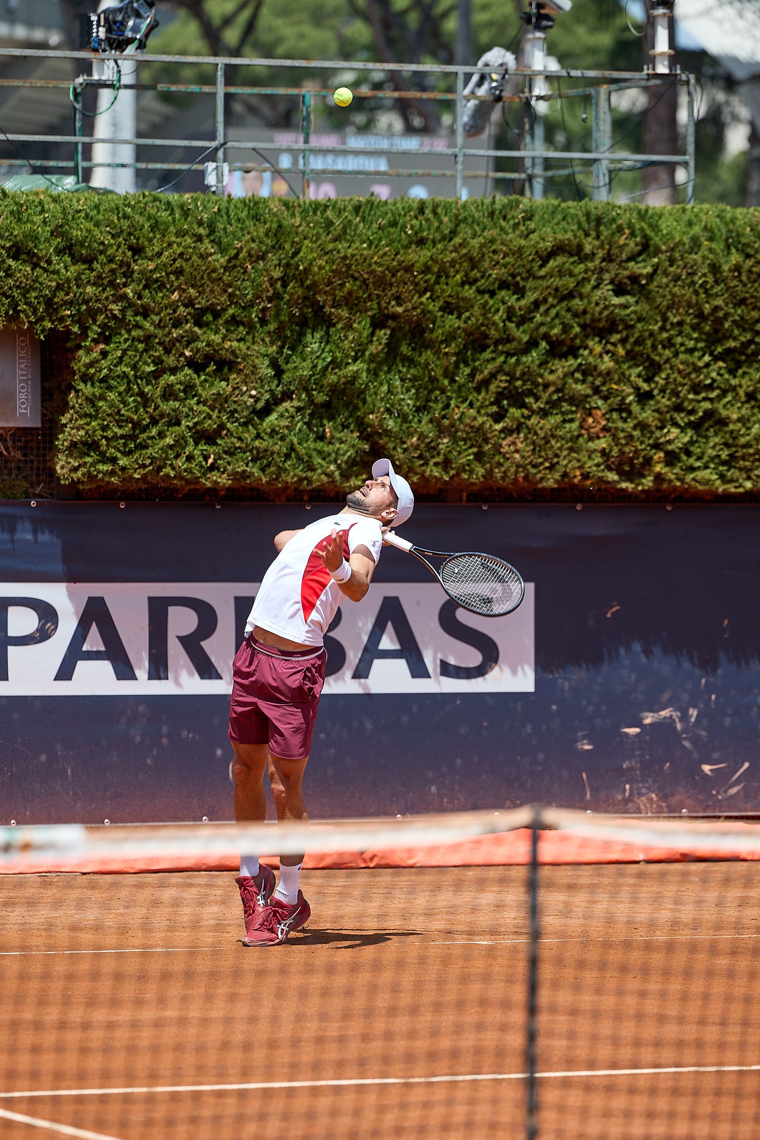 Nole Djokovic