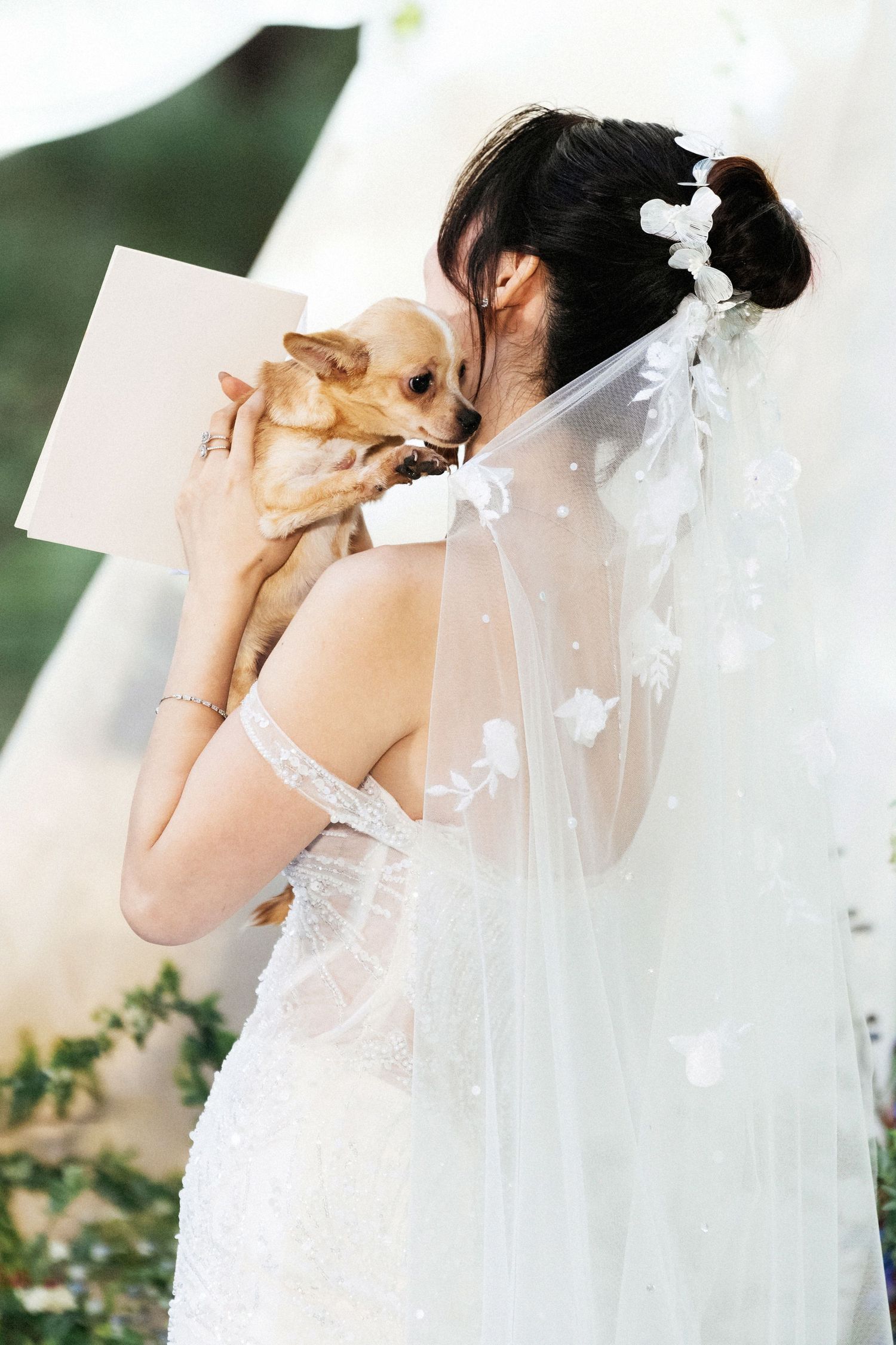 A small Chihuahua dog is being held lovingly by someone wearing a white wedding dress with a flowing veil.