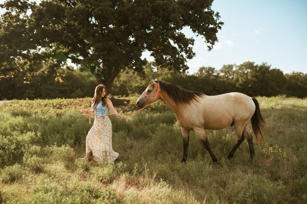 Woman in flowing dress stands beside grazing brown horse in golden meadow with oak trees in background.