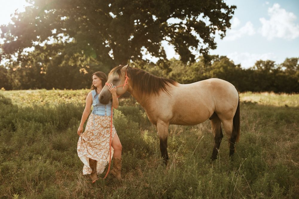 A dappled palomino horse stands in a sunlit meadow beside someone wearing a floral sundress at golden hour.