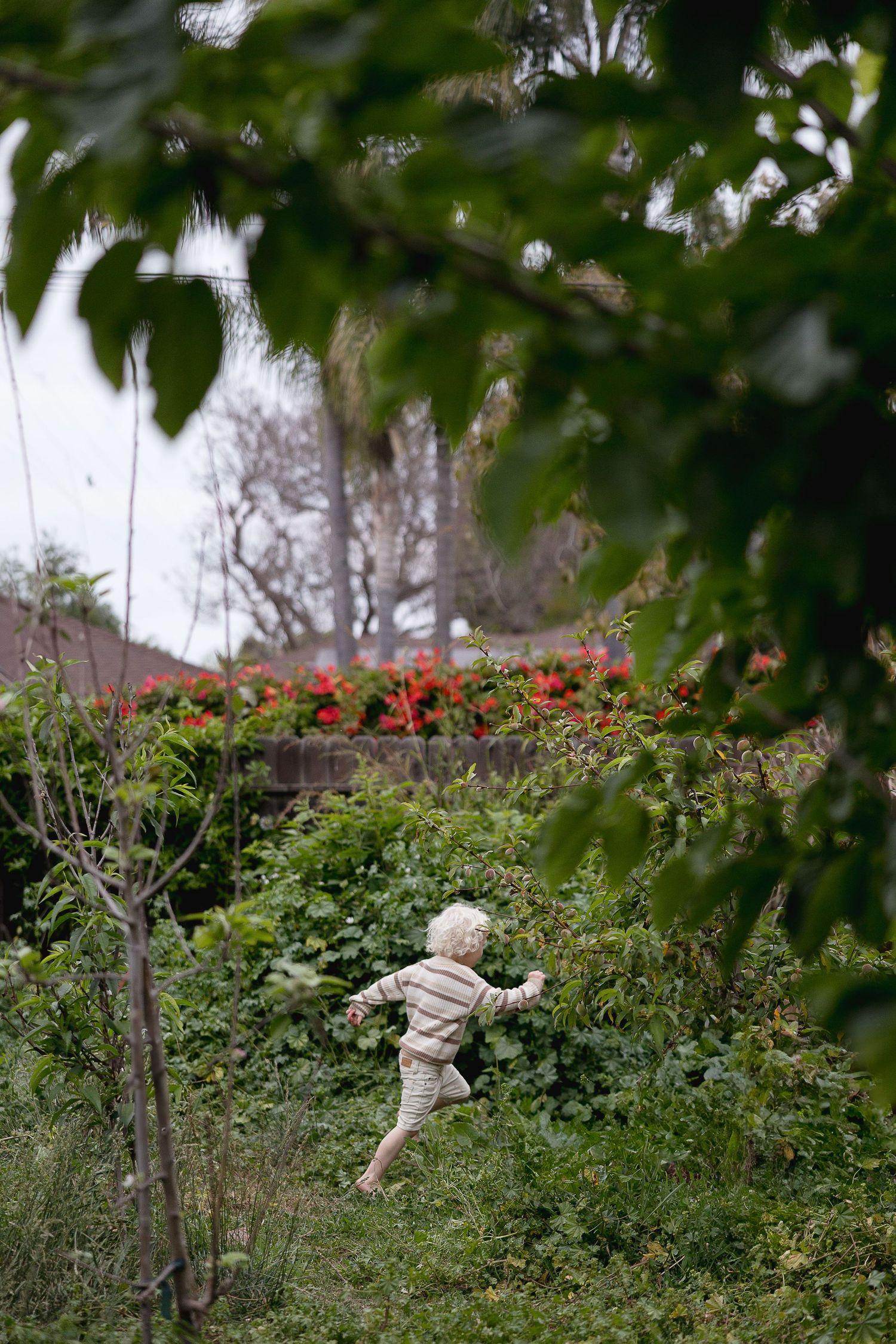 A small figure explores a lush garden with red flowers visible in the background through green foliage.