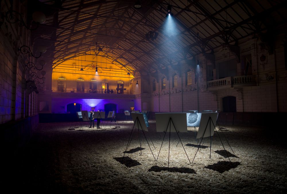 Multimedia art exhibition in dark venue with spotlit displays and ethereal lighting effects.