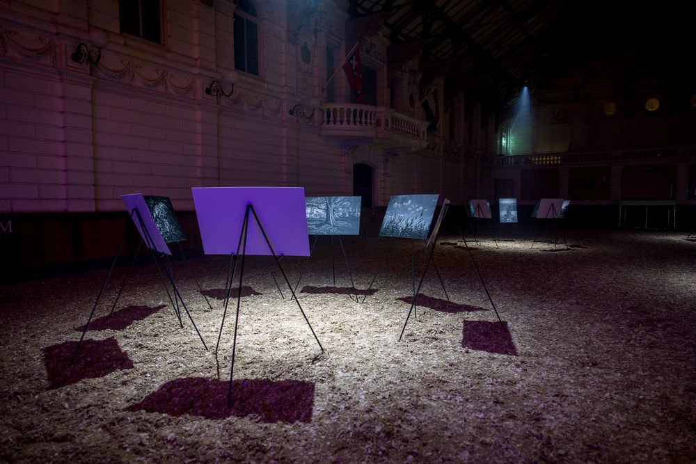 Art displays arranged in circular pattern under spotlights in dark exhibition space.