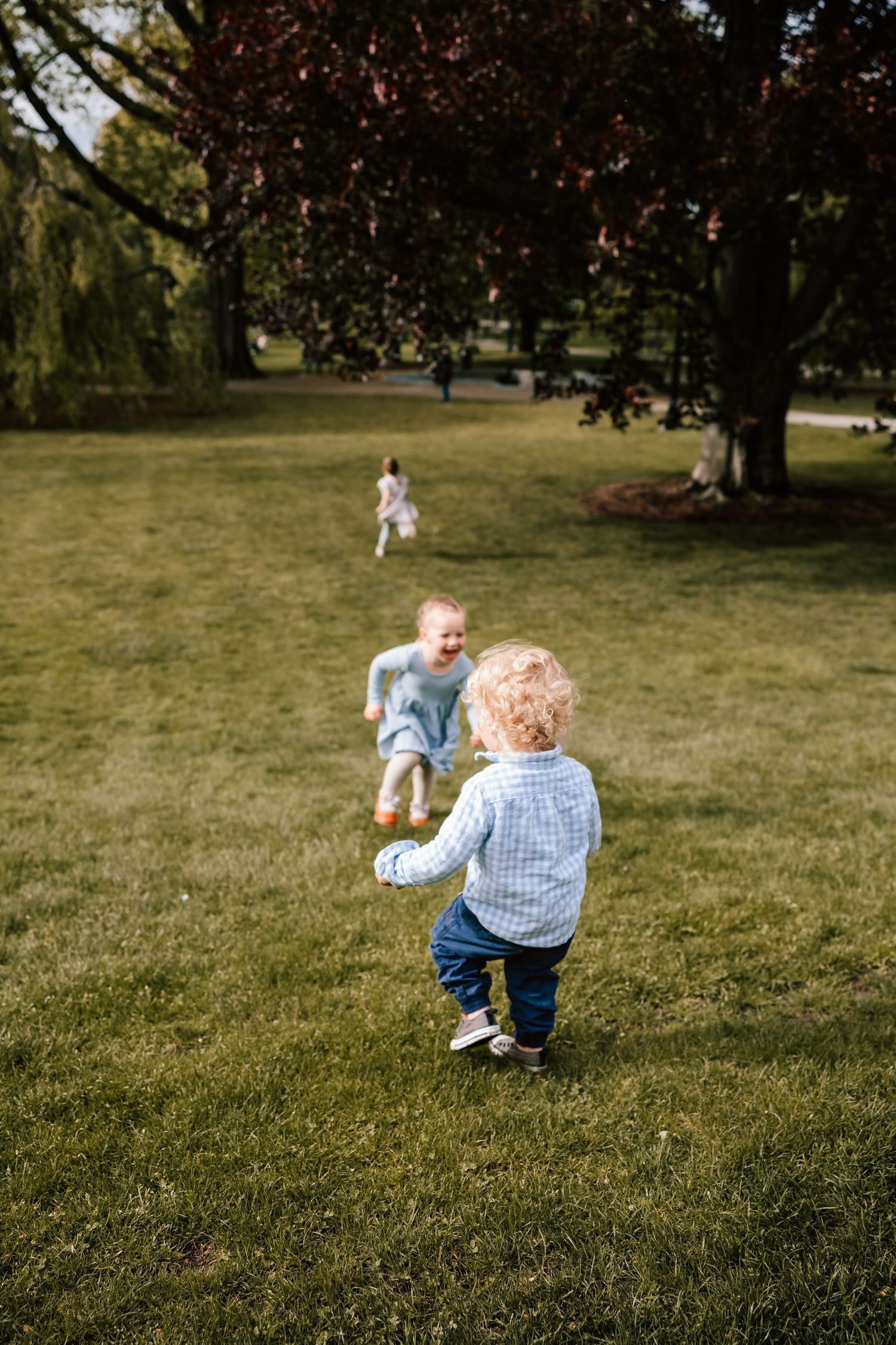Toddler exploring and crawling on grassy lawn during outdoor photography session at park.