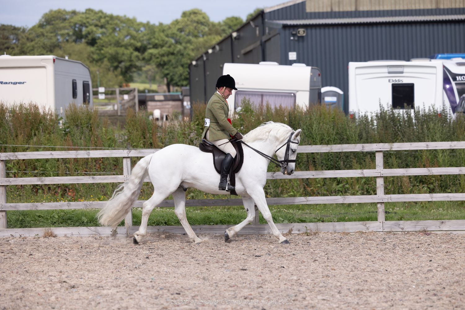 Equestrian rider in formal attire guiding a white horse through a dressage routine in an outdoor arena.