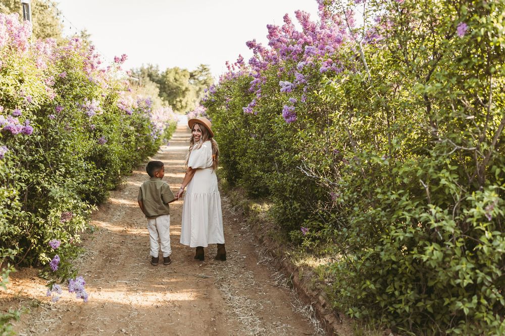 Two figures walk down a dirt path lined with blooming lilac bushes on a sunny day.