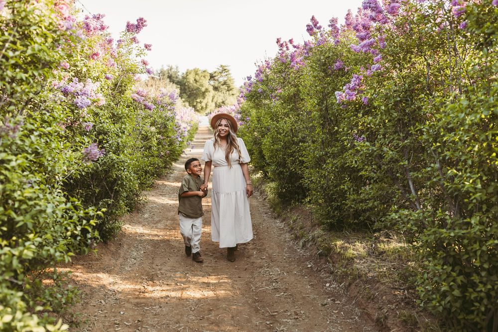 People walking along a garden path surrounded by blooming purple flowers and green shrubs on a sunny day.