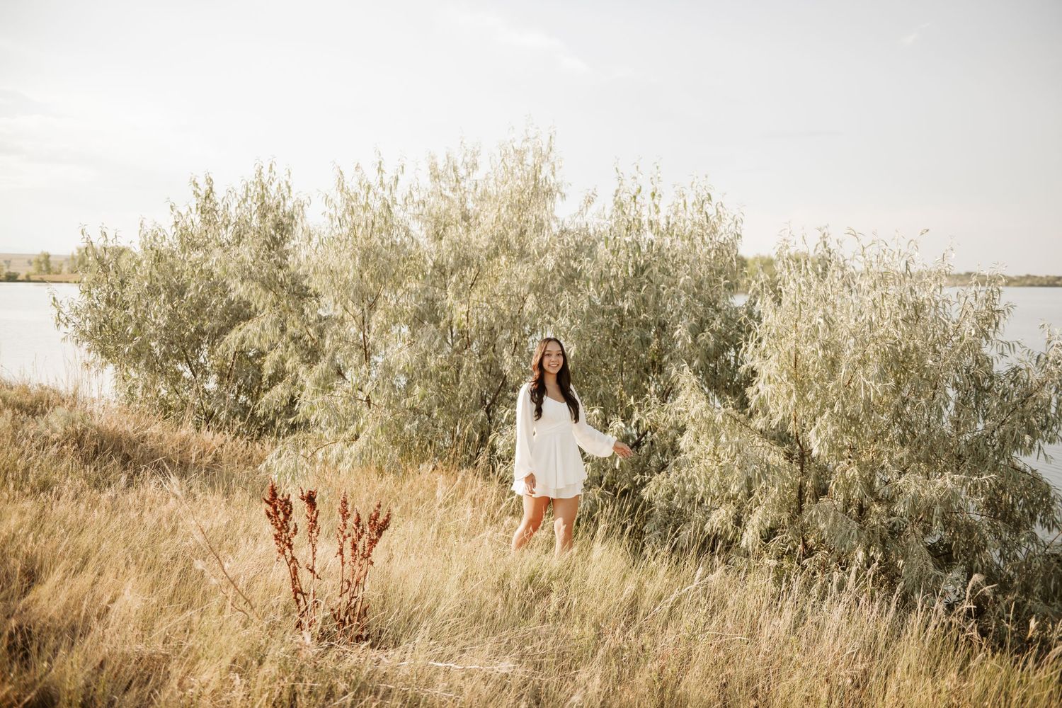 Rustic wooden bridge extends across a serene pond surrounded by tall grass and olive trees in a peaceful countryside setting.