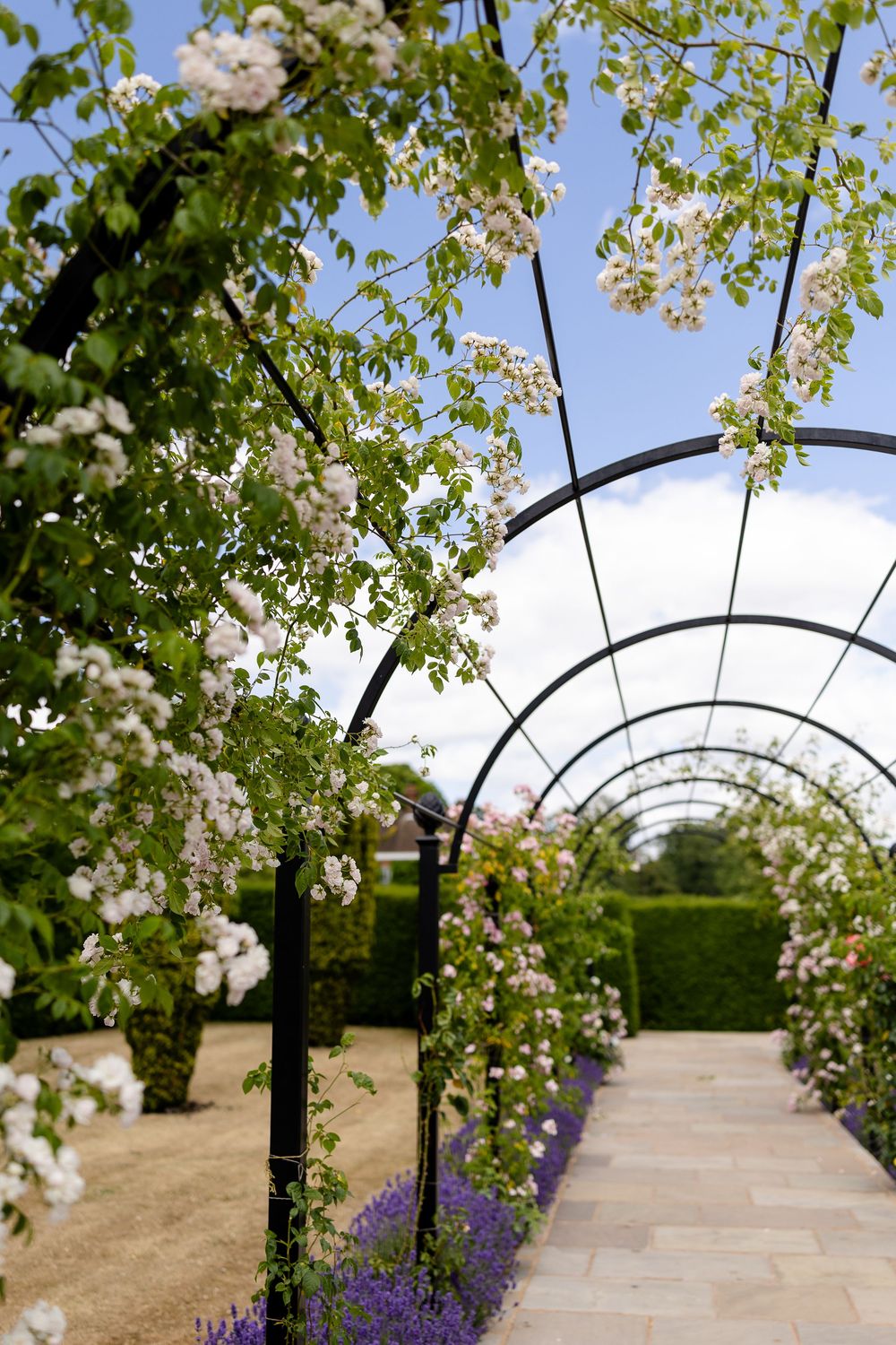 A garden archway covered in blooming white flowers with purple flowers lining the stone pathway below.