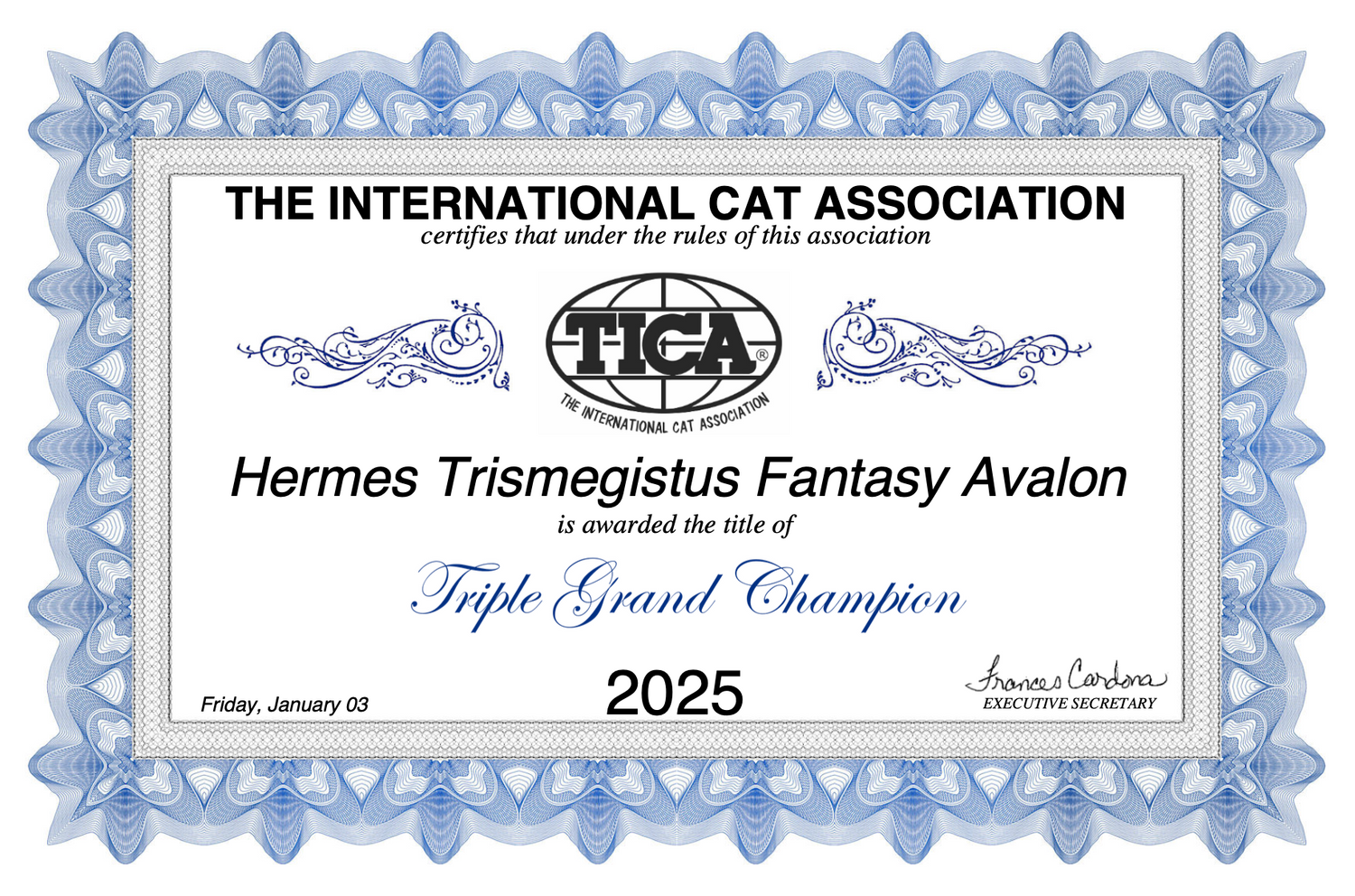 A decorative blue-bordered certificate from The International Cat Association (TICA) for Triple Grand Champion status in 2025.