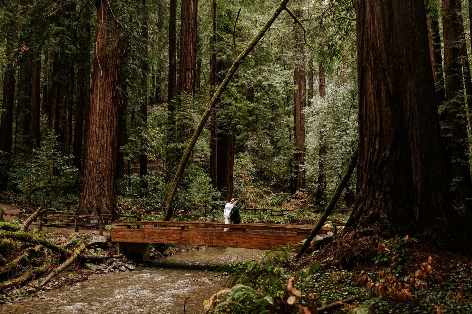 an elopement couple at muir woods, one of the best places to elope in california