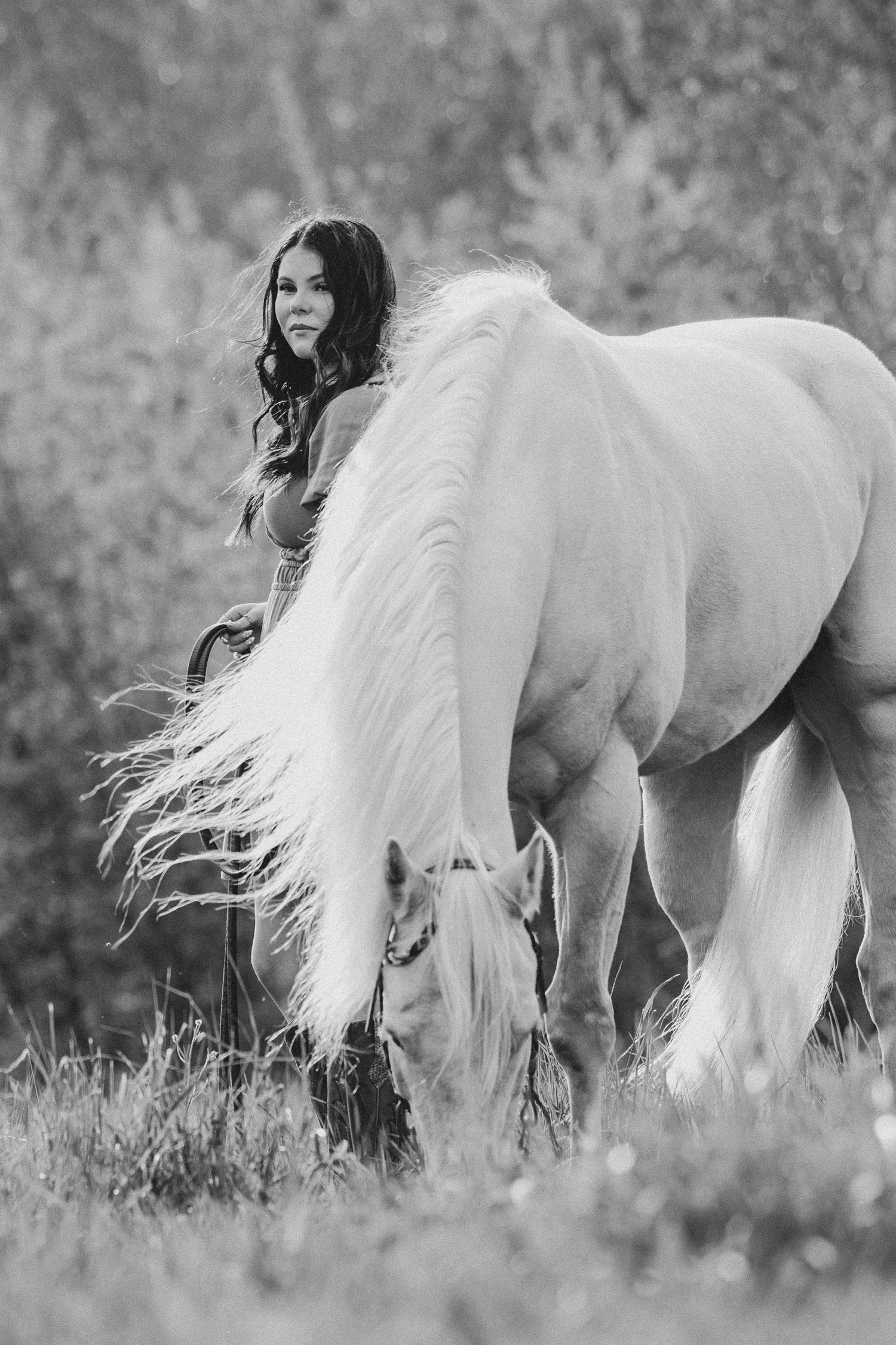 Equine photography in Snohomish County