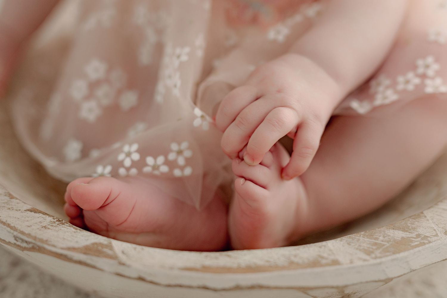 Baby wearing sage green lace dress sits smiling in woven basket against emerald background.