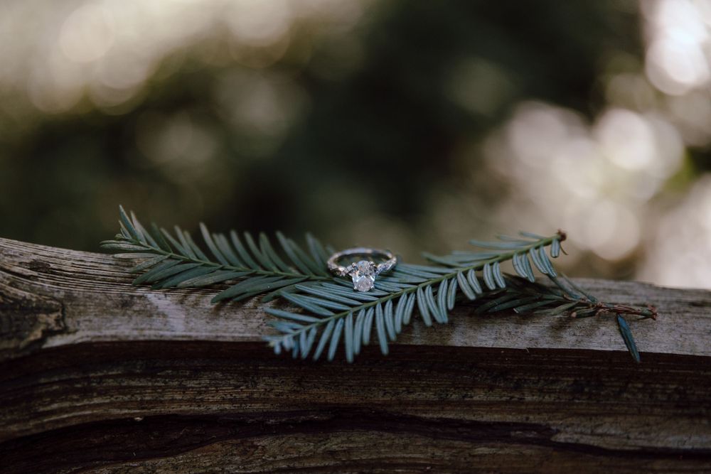 Diamond engagement ring nestled on eucalyptus leaves against rustic wood in natural lighting.